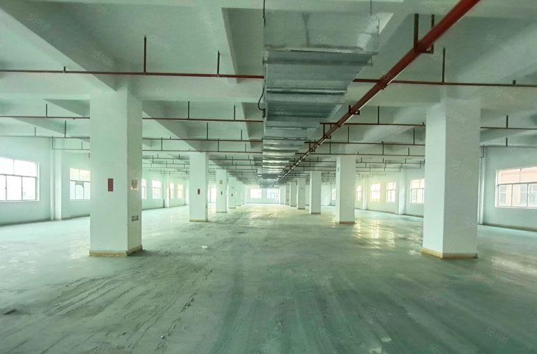 出租6元原房东带装修！马安单层2800平重工业厂房~可分租