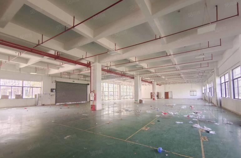 急租马安新乐一楼1200平，可分租500平，层高5米，电按需