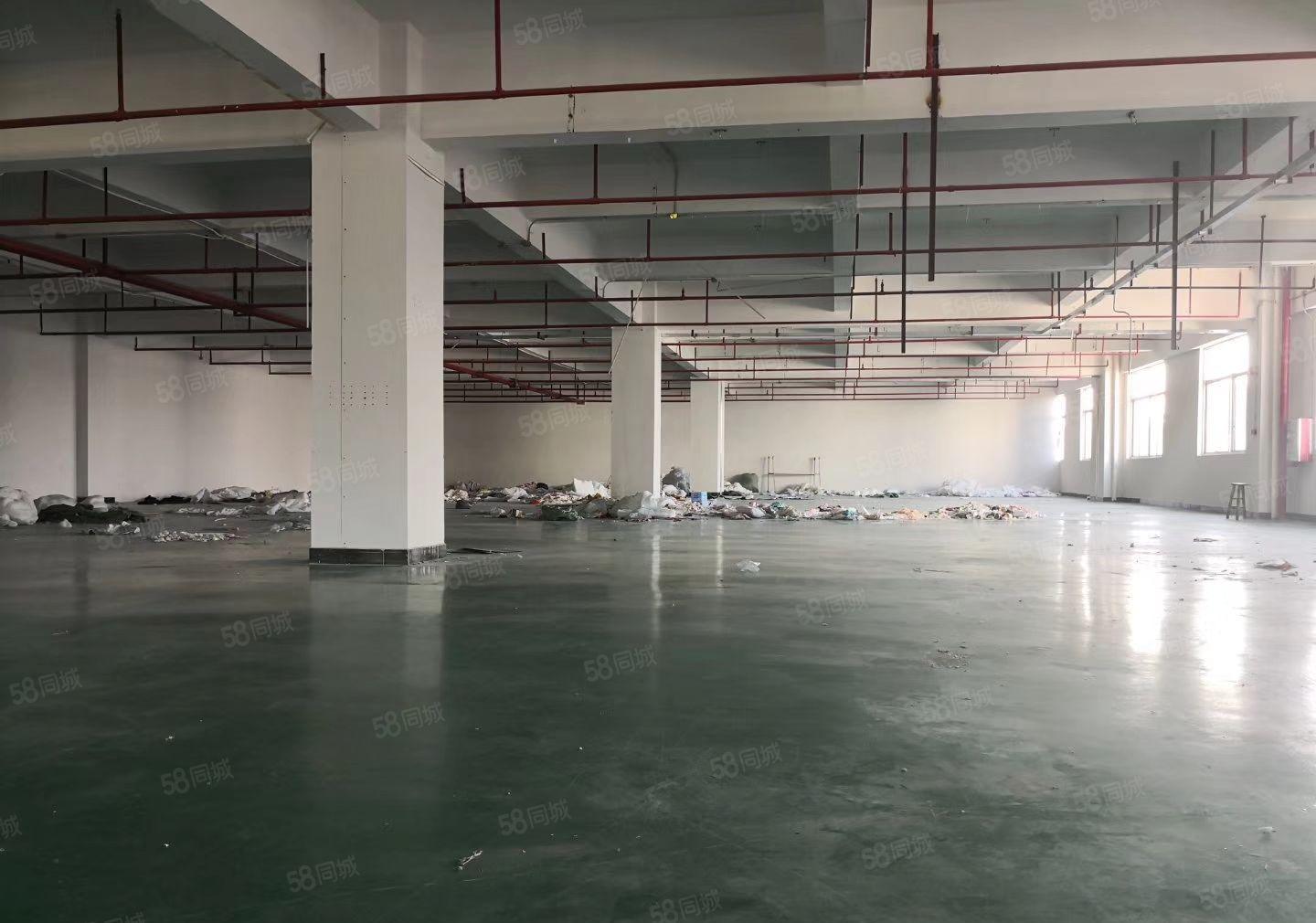 惠博大道附近原房东厂房一楼2650平方厂房出租