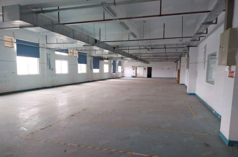 惠城区水口花园式原房东独栋标准6层厂房出租