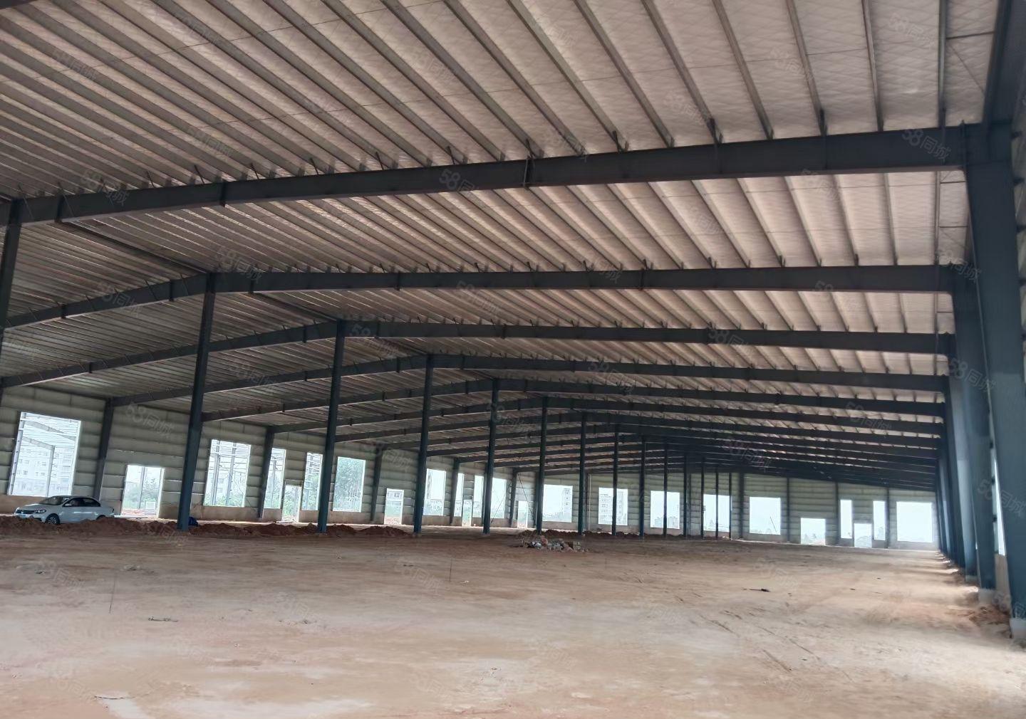 小金口全新原房东独院钢构3300平方，空地3000平方