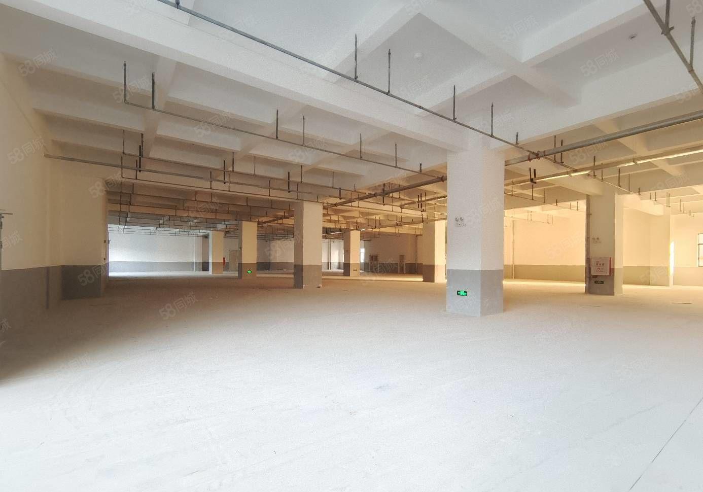 水口镇东江千亿产业园新空出一楼2700平方全新红本厂房出租