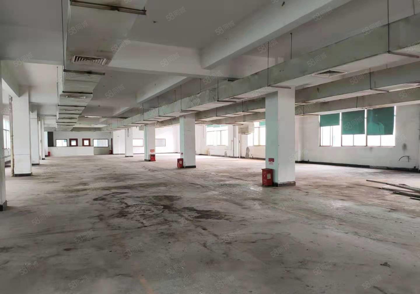 原房东，四角楼花园式独院全新1500平米招租   证件齐