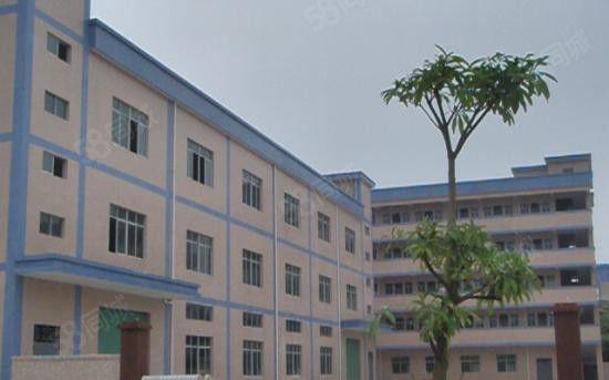 靓独院分租厂房6000平米招租