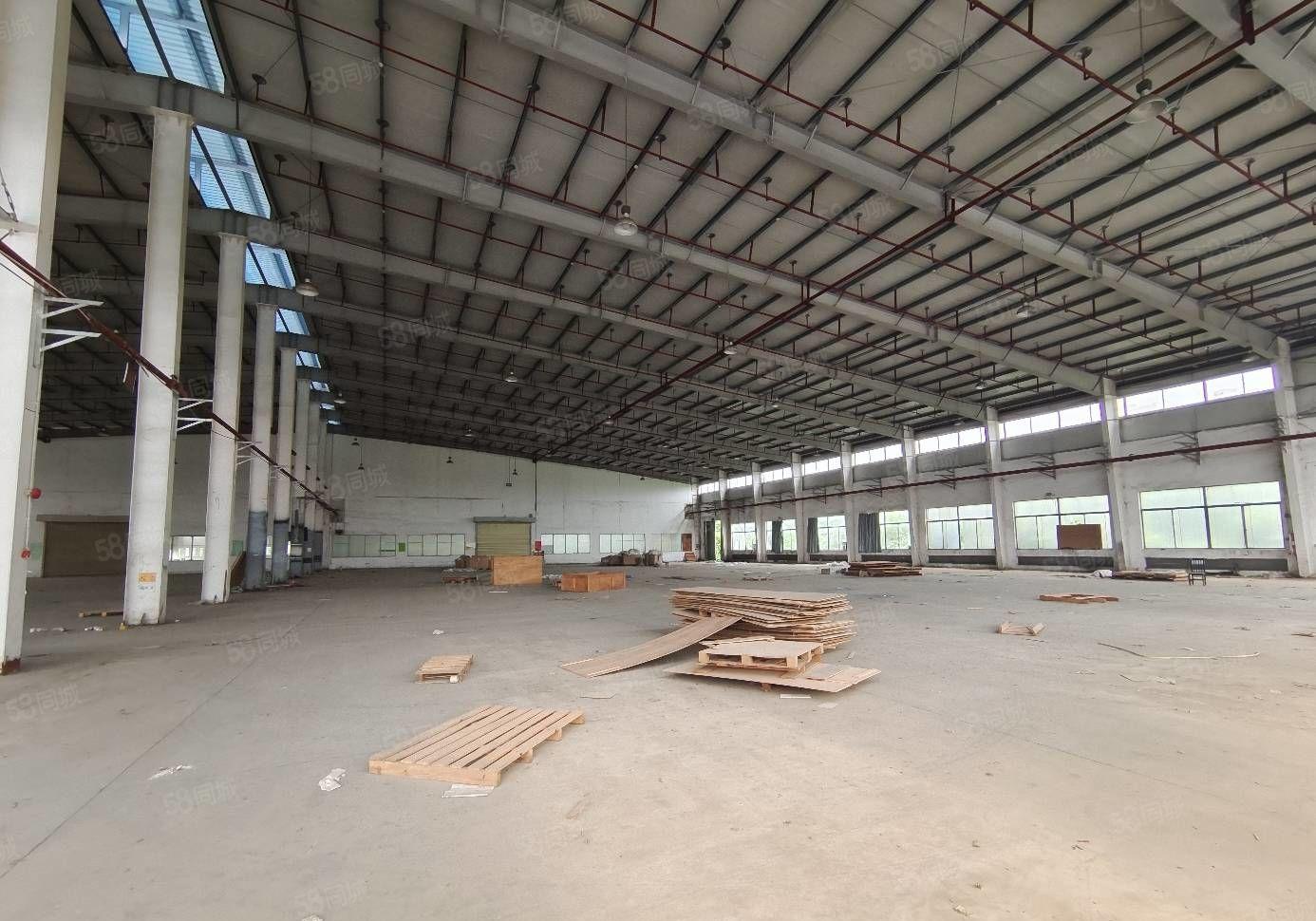 马安镇新湖工业区10米钢构1000平方厂房17元每平出租