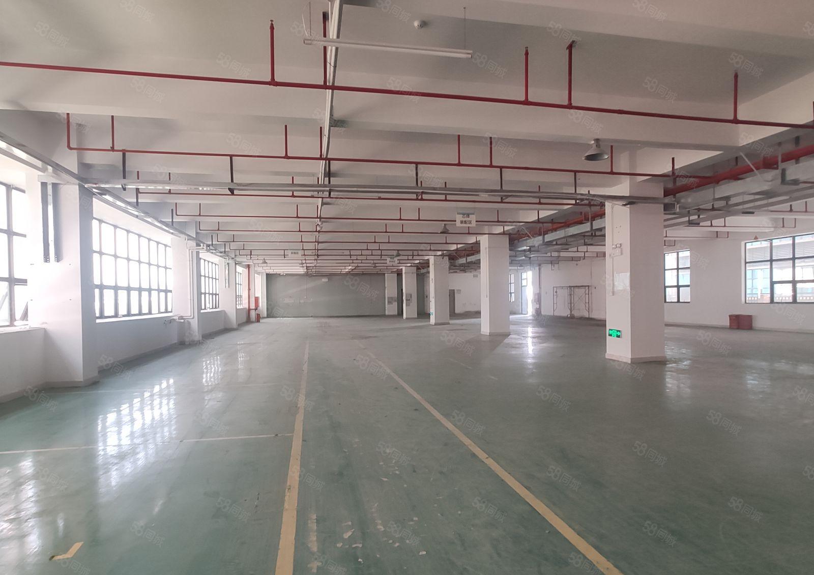 500平起租惠城区小金口原房东1万平带装修一楼厂房仓库出租