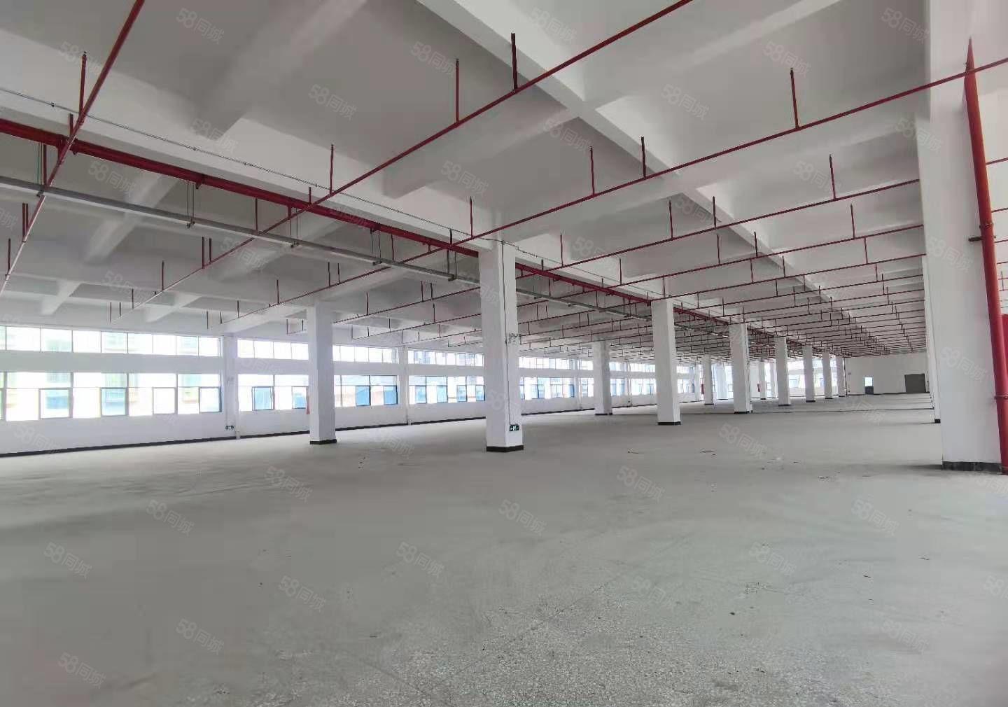 小金四角楼金龙大道工业园一楼2380平方重工业厂房出租