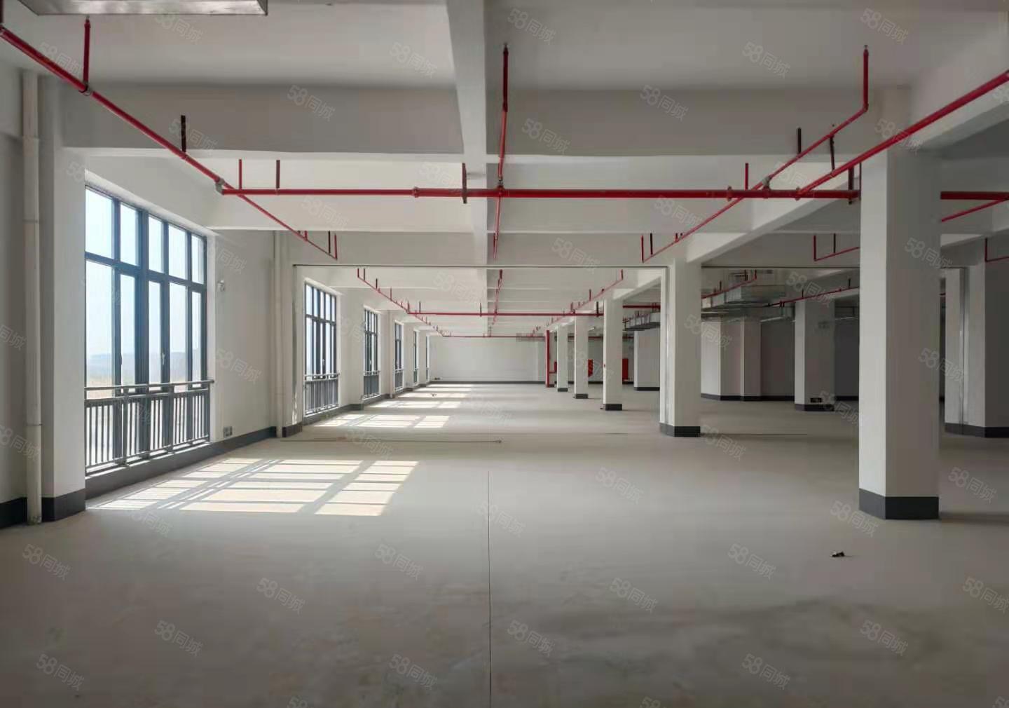 平潭园区标准红本厂房2200平，12元出租