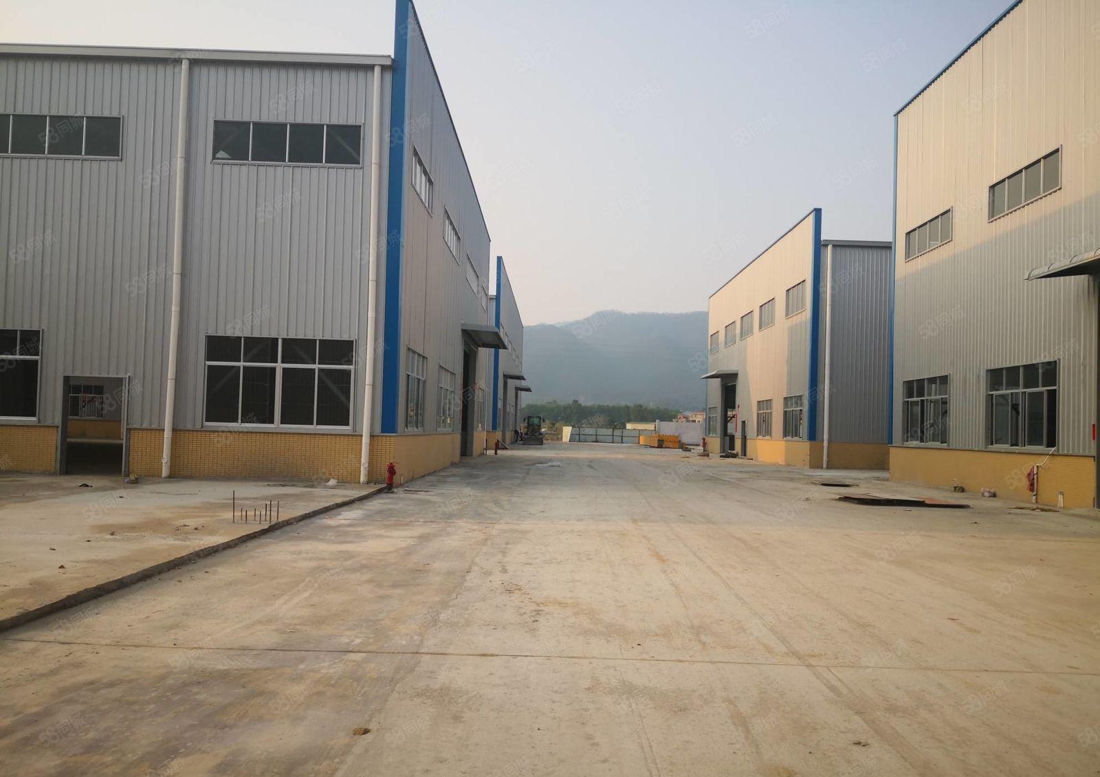 惠阳良井附近工业区内钢构厂房4500平方低价出租