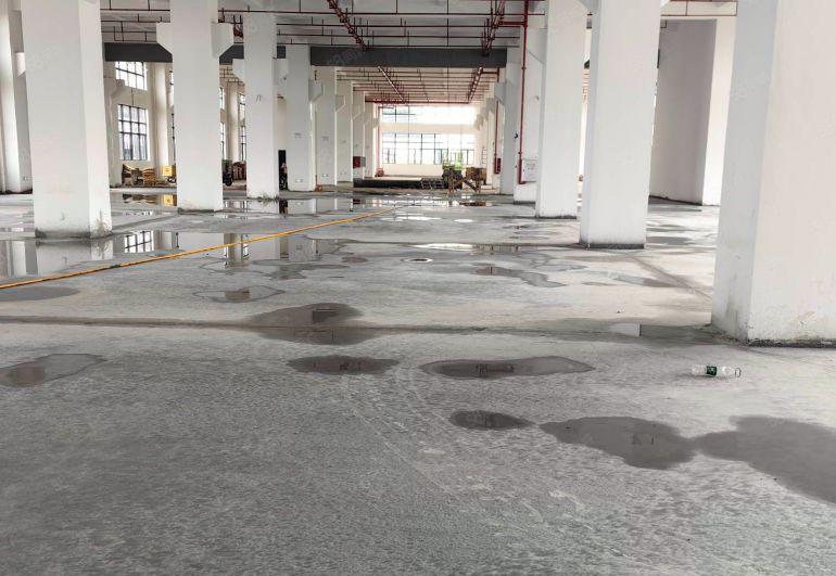 靓水口新出大型工业园厂房11万平米招租