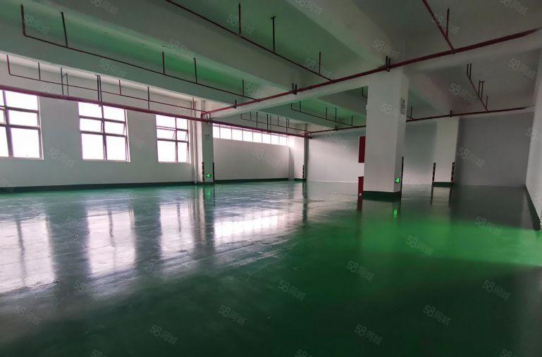 马安400平方电子厂房出租，刷好地坪漆，隔好办公室
