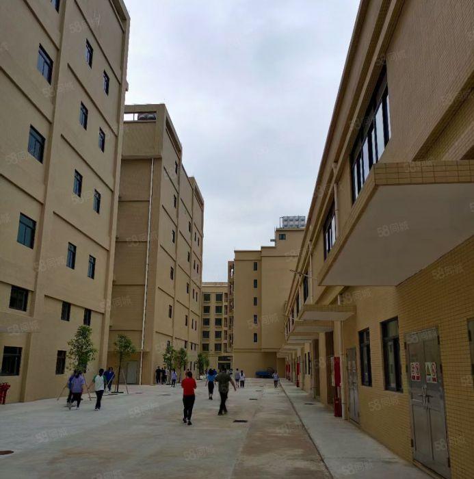 靓水口新出全新7.5万平米厂房招租（可分租）