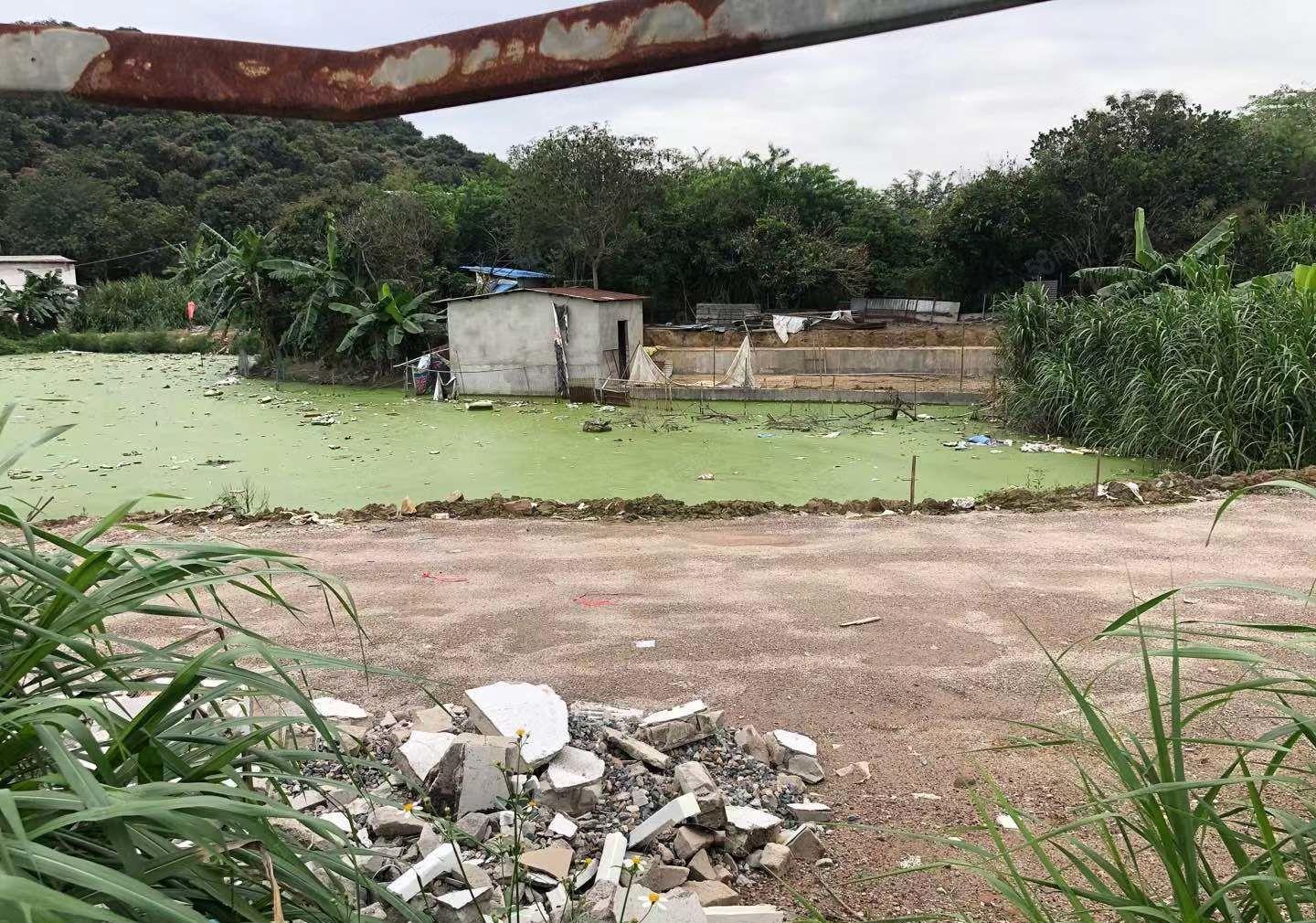 （空地大可做污染）河南岸冷水坑工业区单层200平方厂房出租