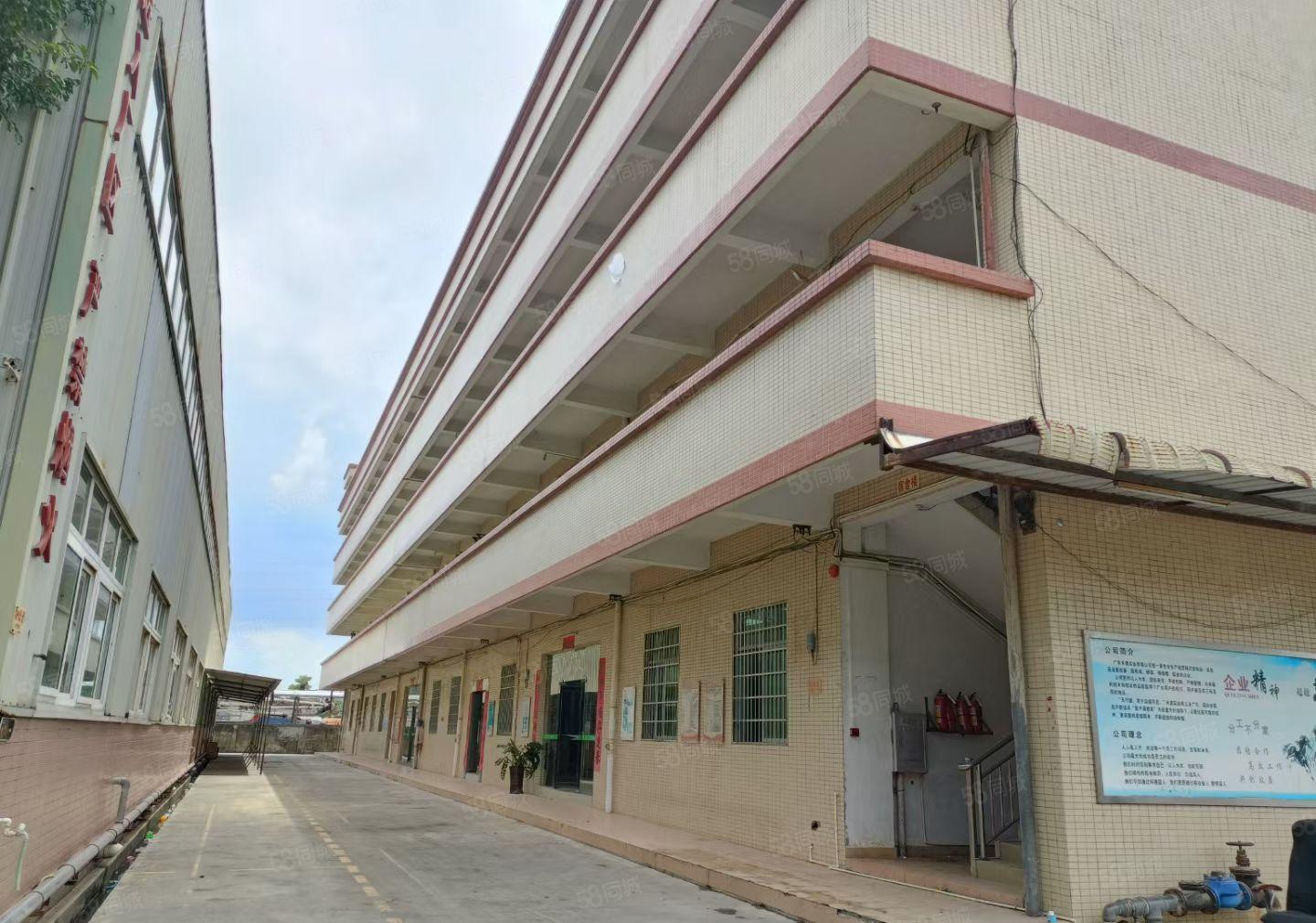 水口东江工业区6880平高度8米钢构厂房招租可分租