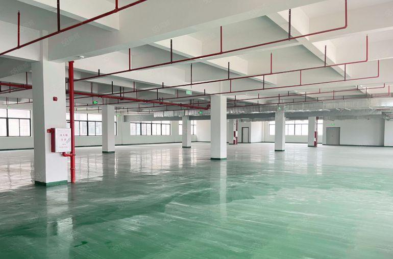 （现成装修）小金口8块每平全新厂房