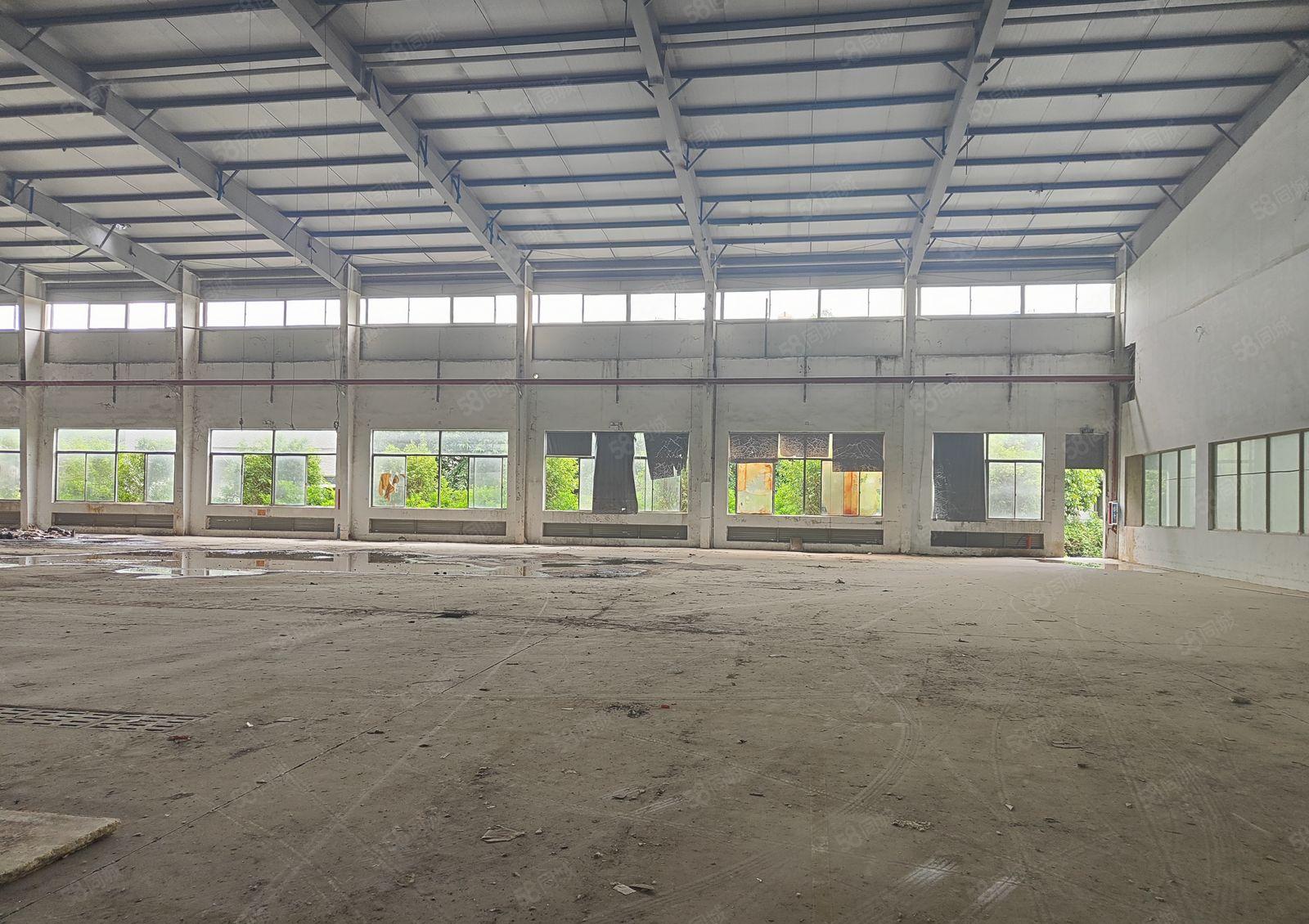 马安新建单层钢构9米滴水12000平米出租 超大空地有证