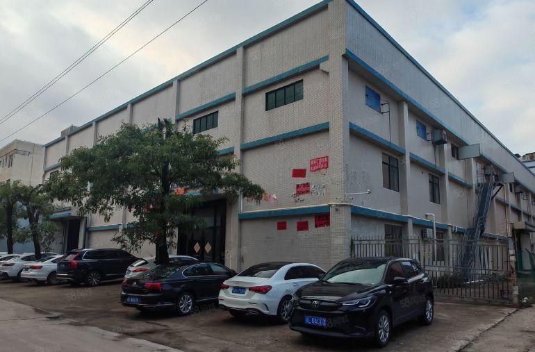 水口工业区 单一层 1500平方钢构 滴水10米