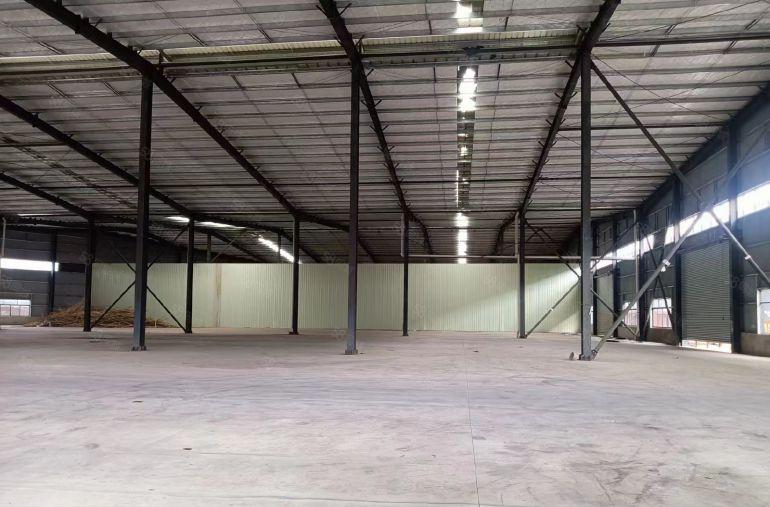 马安新出单一层钢结构8000平