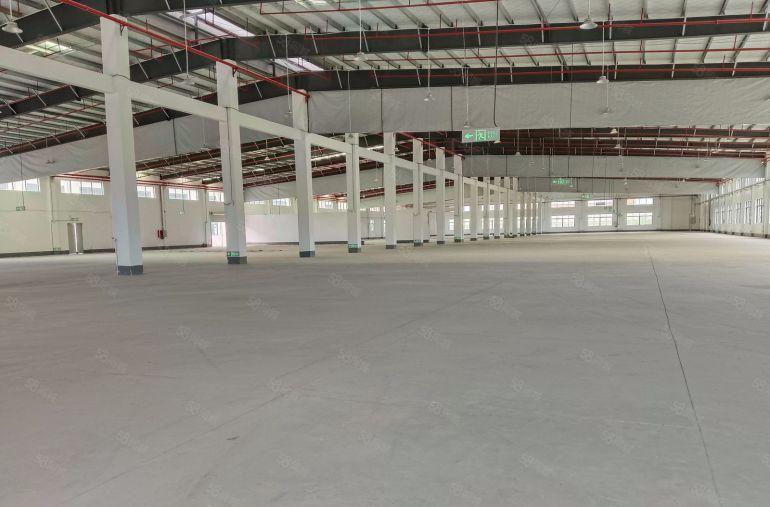 惠城区小金口原房东独院厂房出租6800方，1000起租