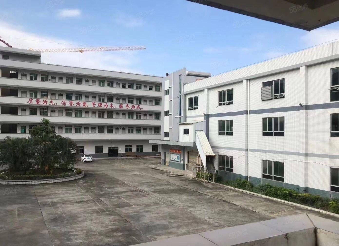 原房东独院厂房，超大空地