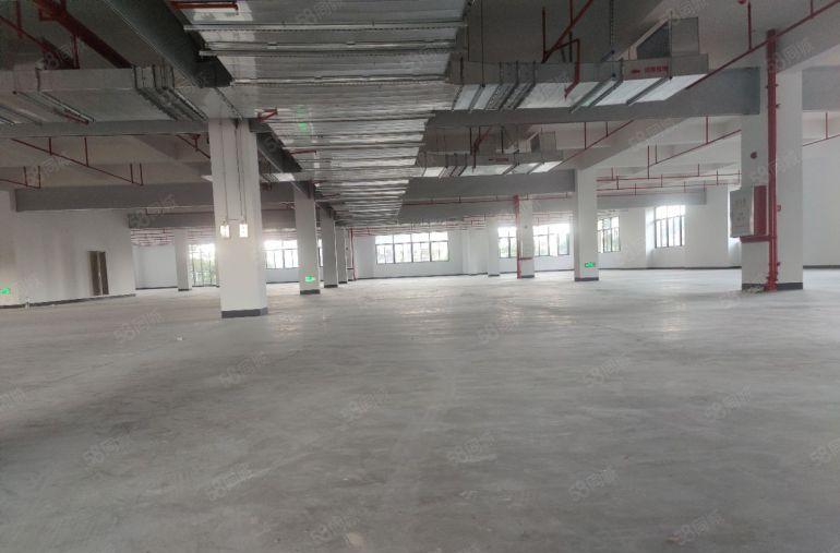 原房东独门独院厂房实际面积出租，位置好，国道的边上