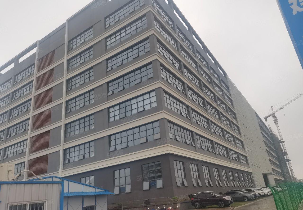 小金口原房东电费一分不赚价格含税可装无尘车间