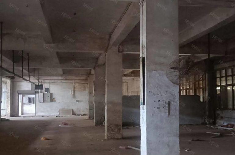 靓三栋独院钢构4000平米