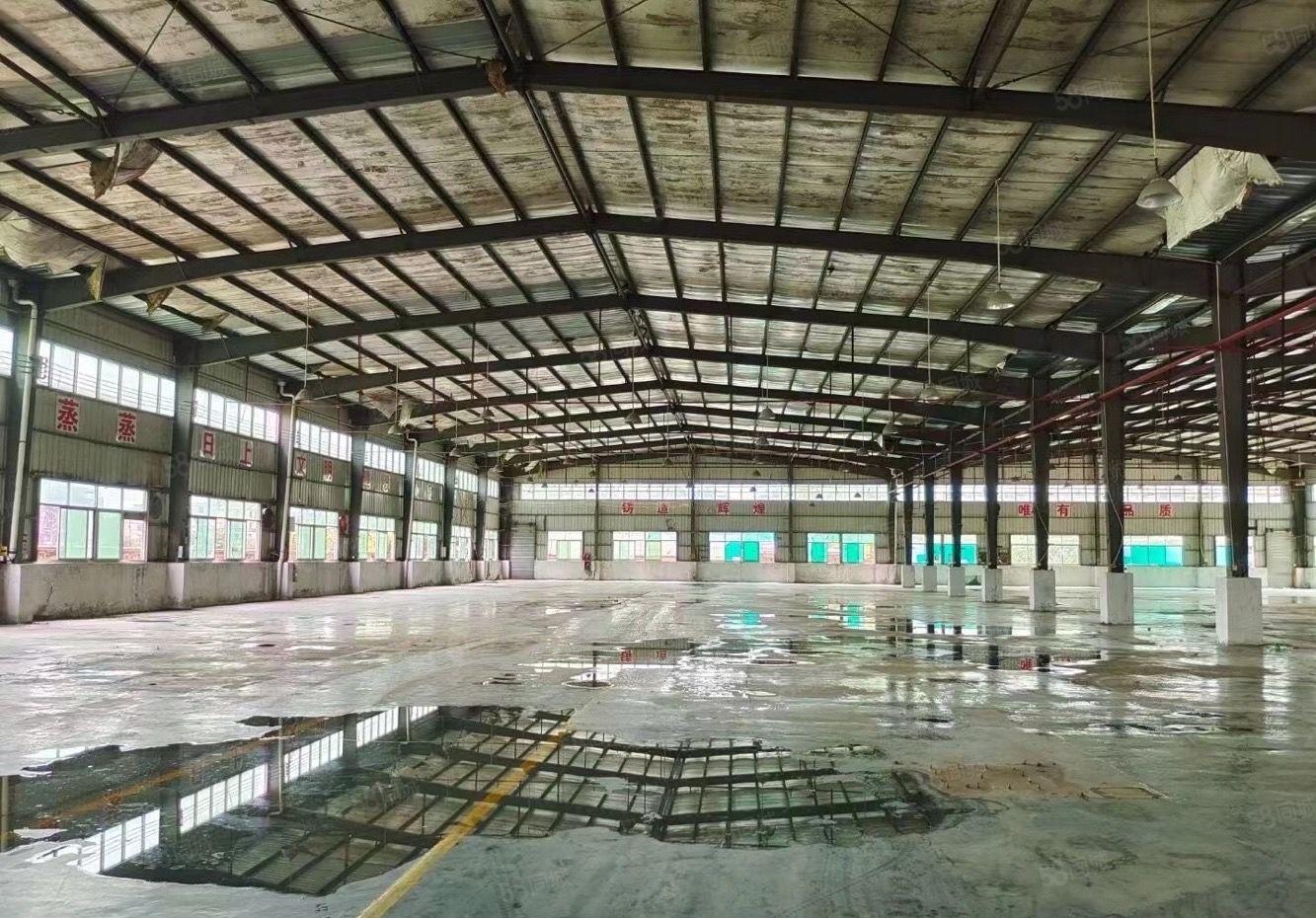 水口东江大道边单层钢构500平方起租独院厂房