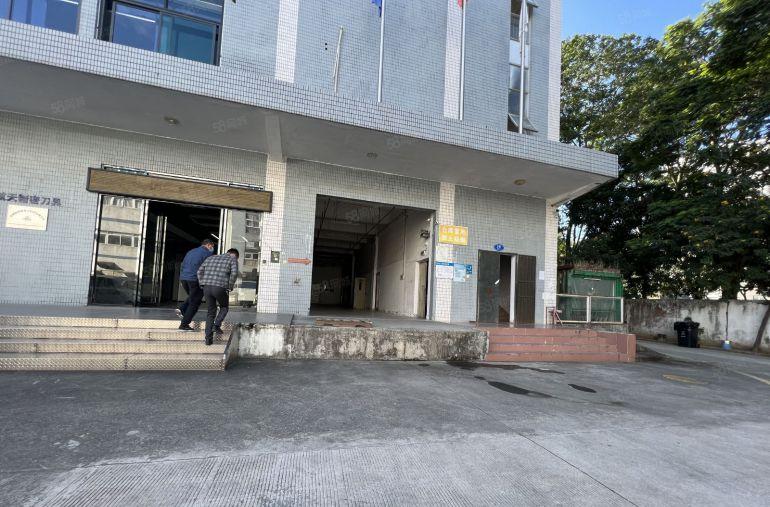 惠城小金口原房东红本厂房一楼1500平方出租带精装修卸货平台