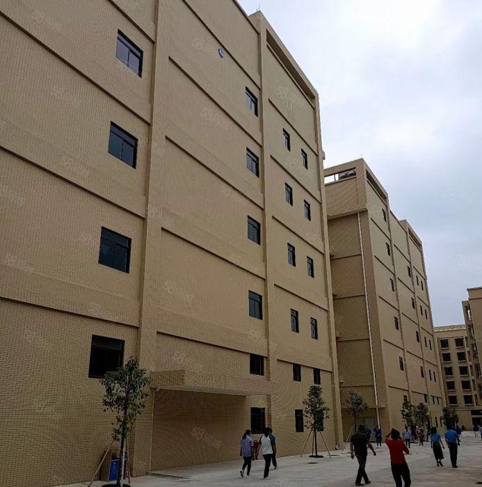 惠城区东江高新区全新厂房66000平方出租