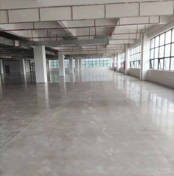 江北全新标准高科技产业园所有证件齐全两部货梯实际面积出租