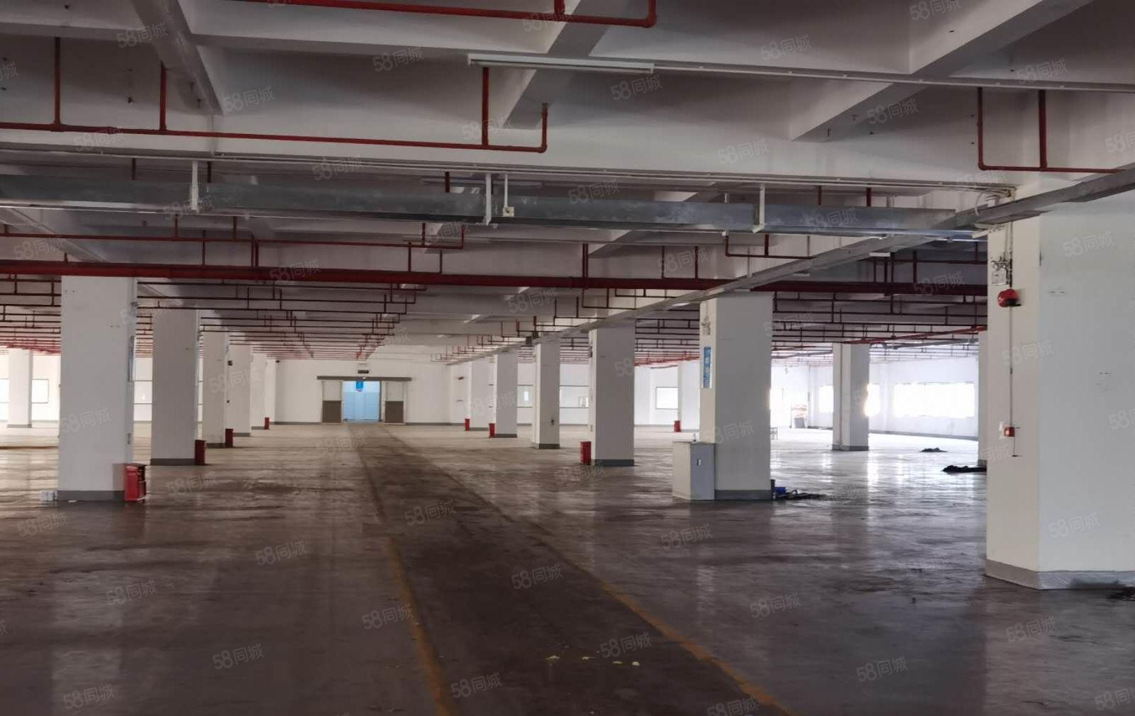 原房东不赚电费，标准厂房6200平方，长100宽30米