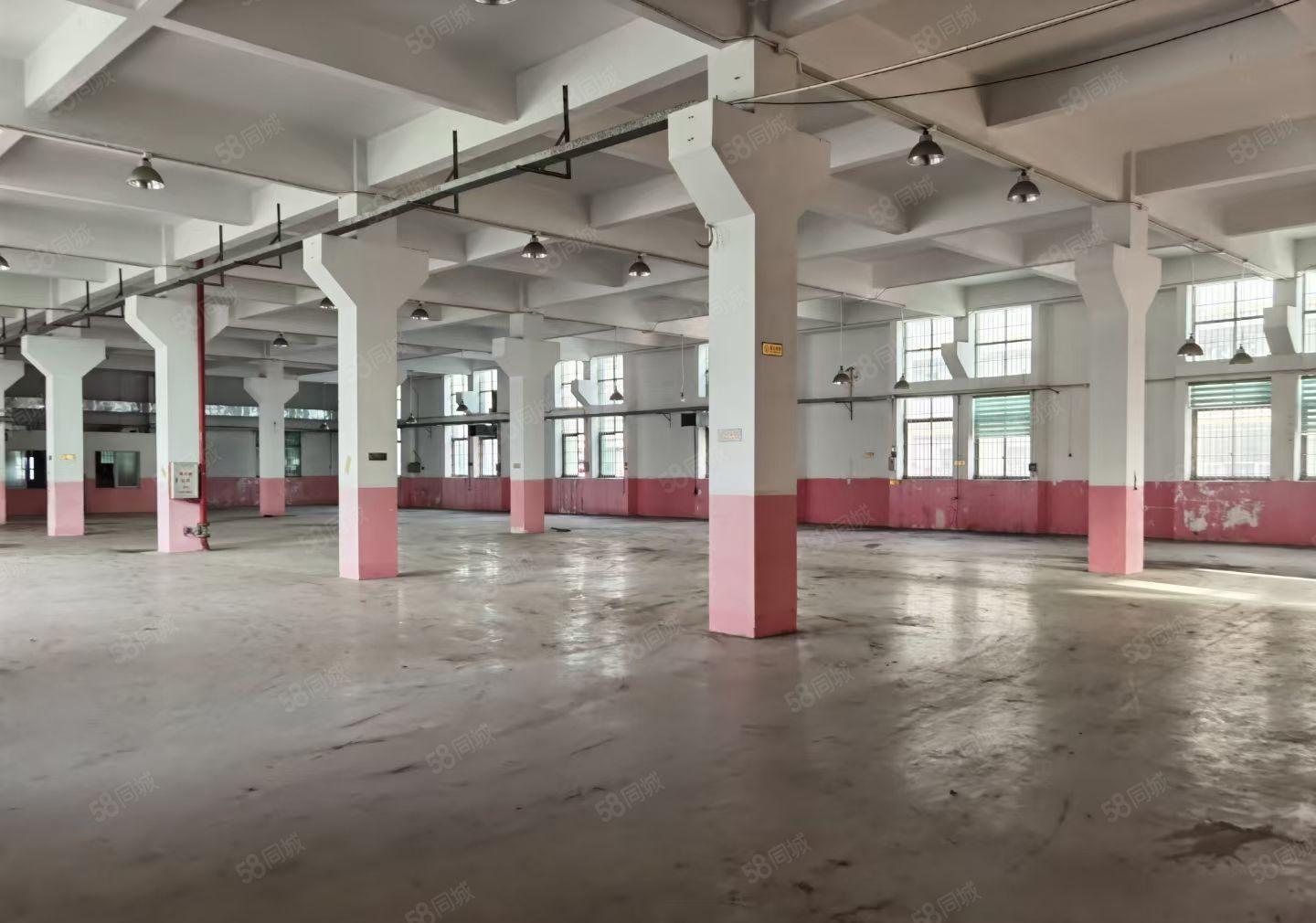 四角楼新出一楼约1500平方原房东红本厂房，高7米带牛腿