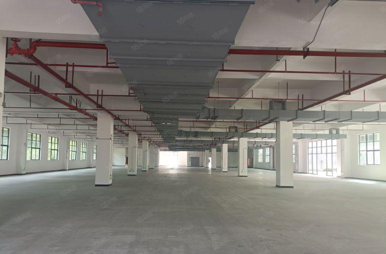 惠城区一楼720方2350方3000方红本厂房招租配电500