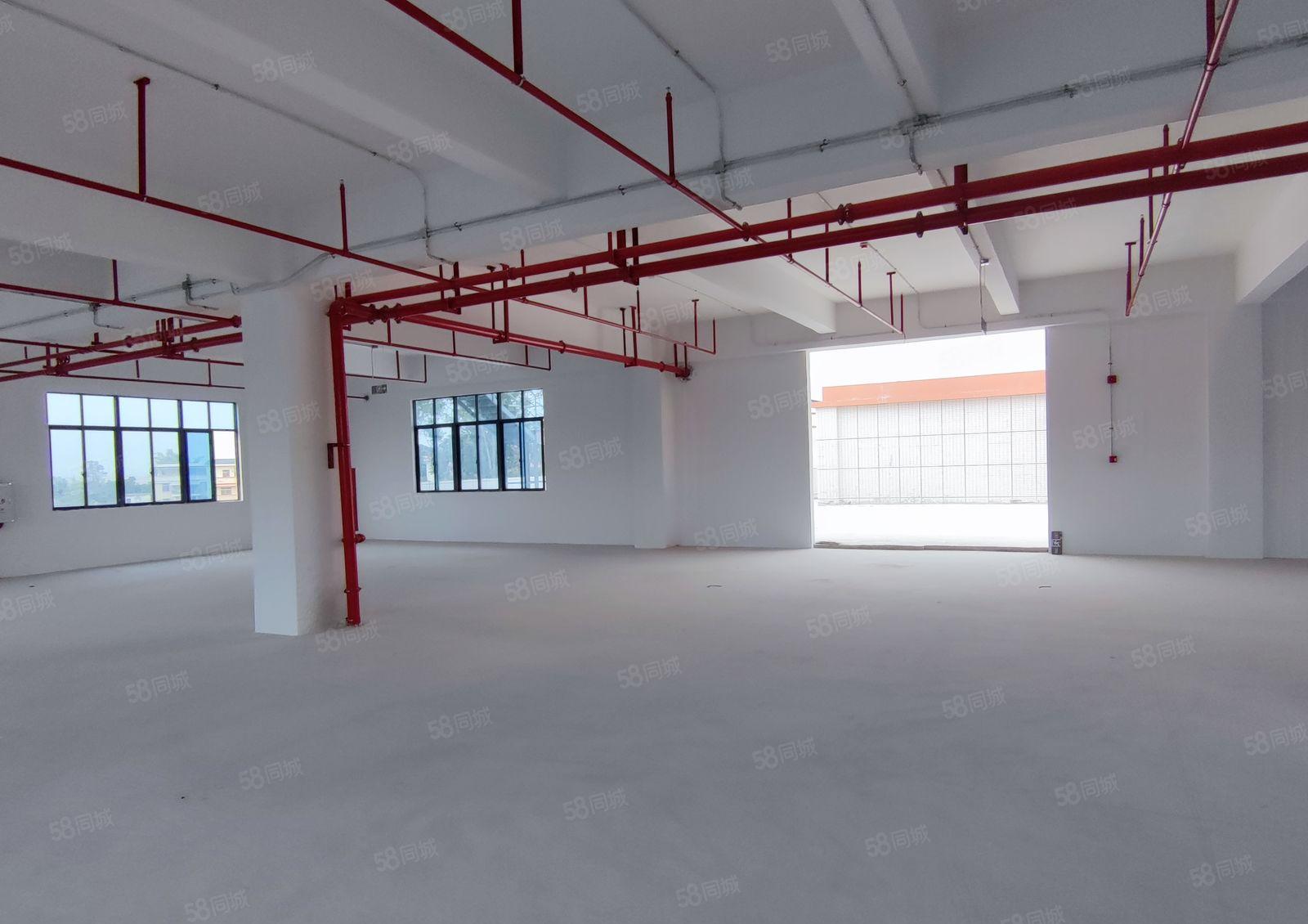 水口镇全新独门独院厂房出租3层2940平宿舍饭堂787平