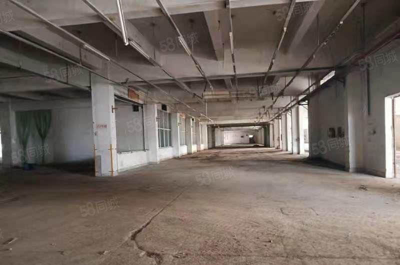靓下角独院厂房1.8万平米招租
