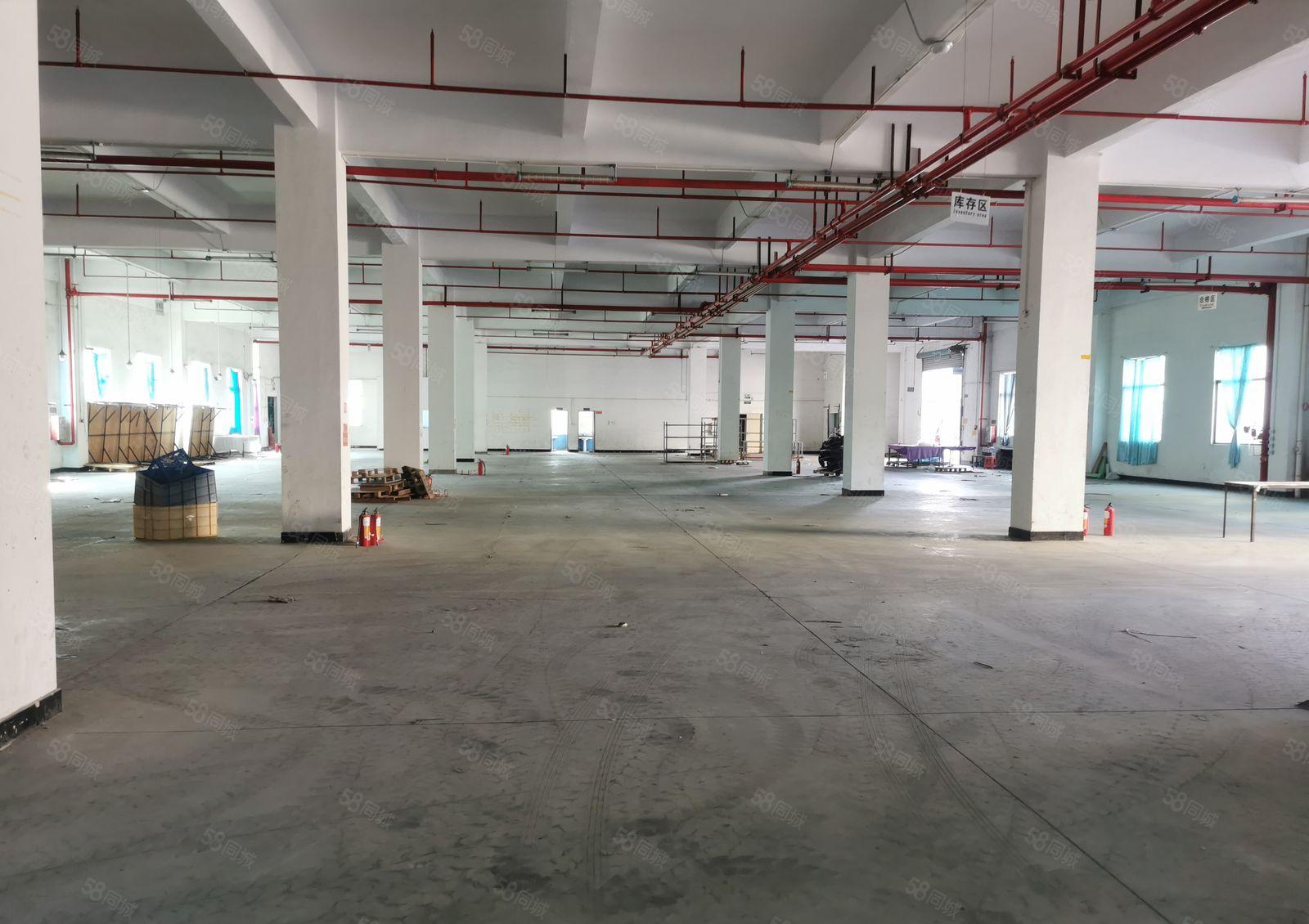 惠州三栋数码园新出原房东独院38000平方厂房也可分租