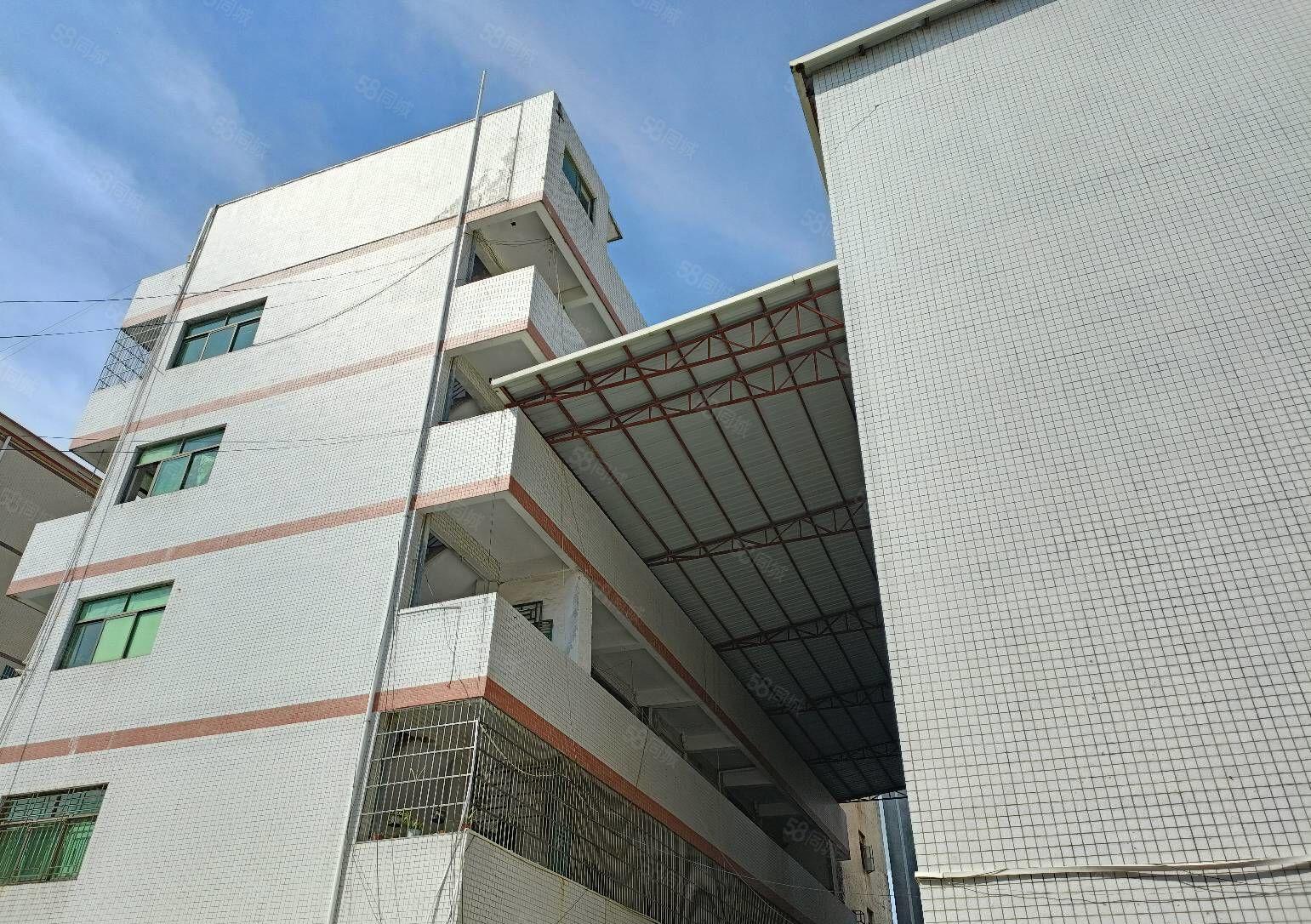 江北汝湖独栋三层约4300平方带装修厂房宿舍出租超大空地