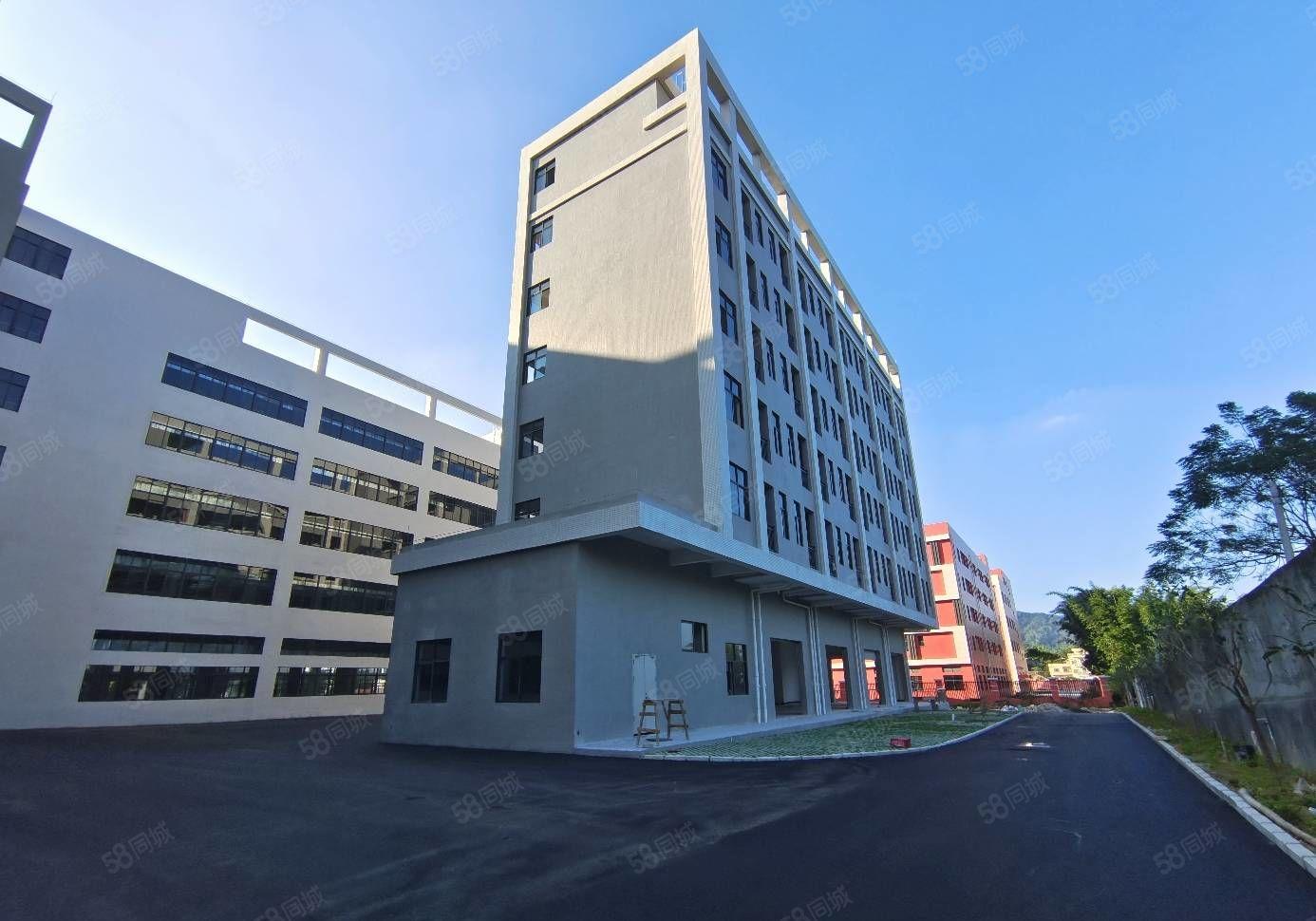 10元一平方，马安镇高速出口附近新建厂房有1500平方出租