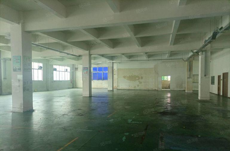 ~~~~~龙湖中心厂房2楼1800平~~~直租~~~~~~~