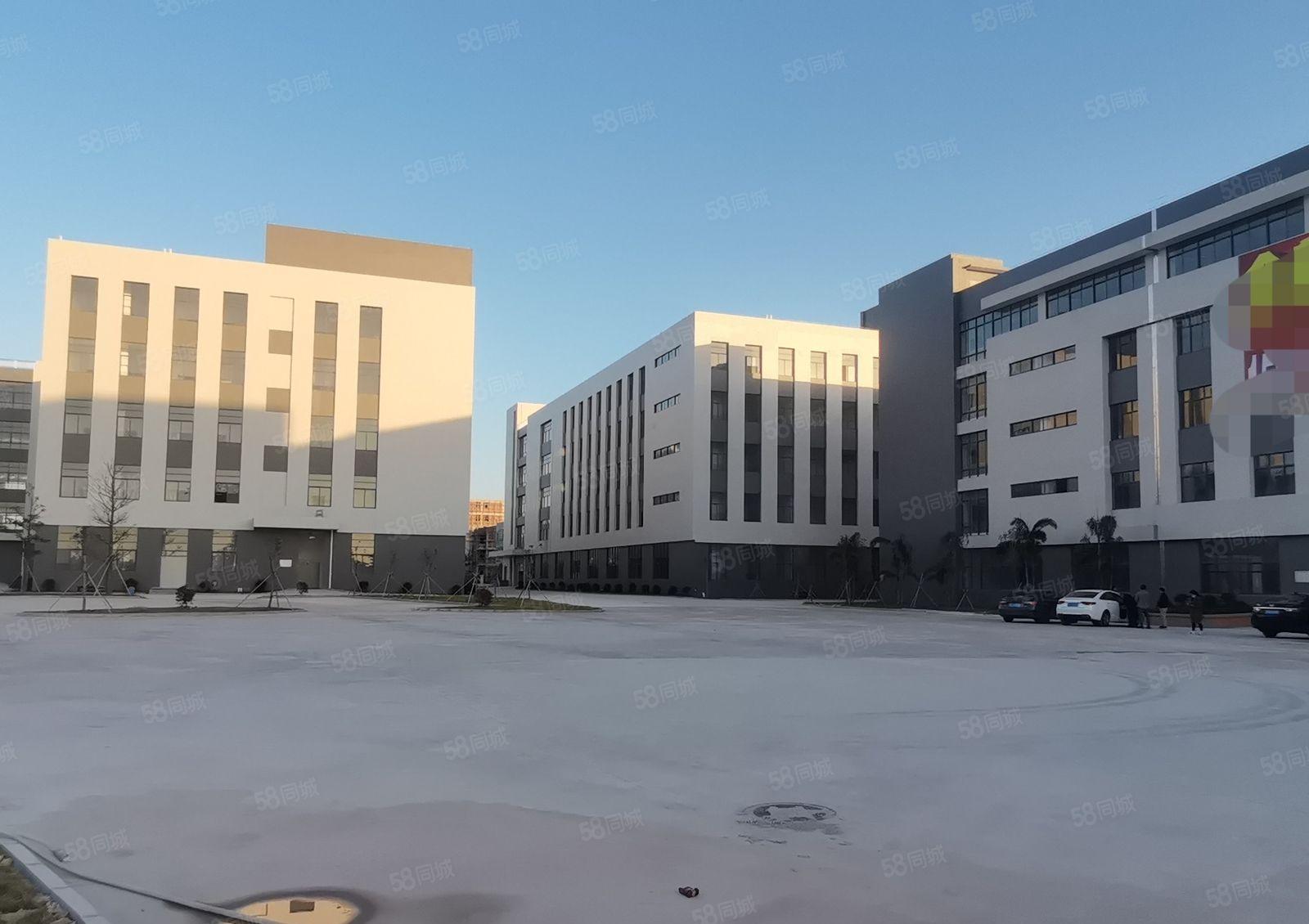 水口全新重工业10万平高新产业园厂房出租 1000平起租