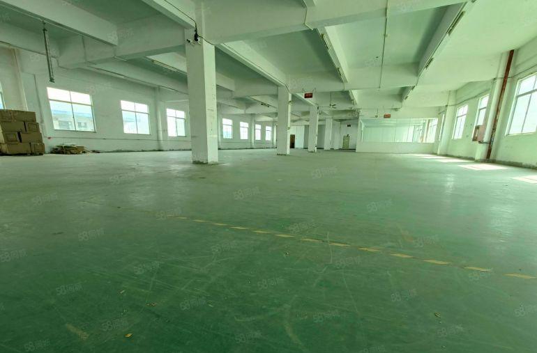 惠城小金口2000平新出房源低价出租原房东1高薪产业园交通便