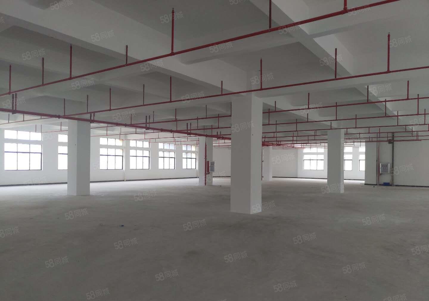 9.9元特价三栋镇全新厂房5楼1550平方出租，全新两吨货梯