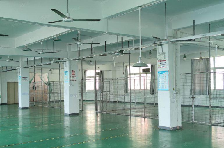 惠城小金口工业园700平独院整层厂房办公室物流仓库出租可分租