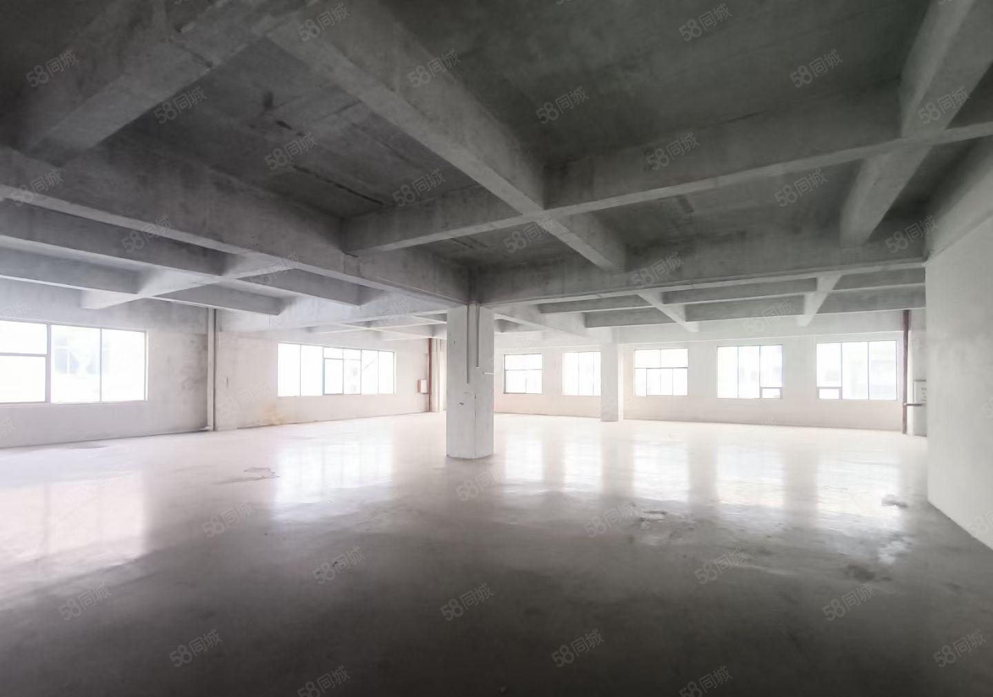 三栋市场工业园800平方现成装修红本厂房招租，有货梯