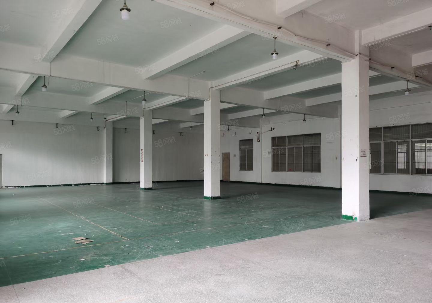 惠城区小金口独门独院一楼1000平方厂房