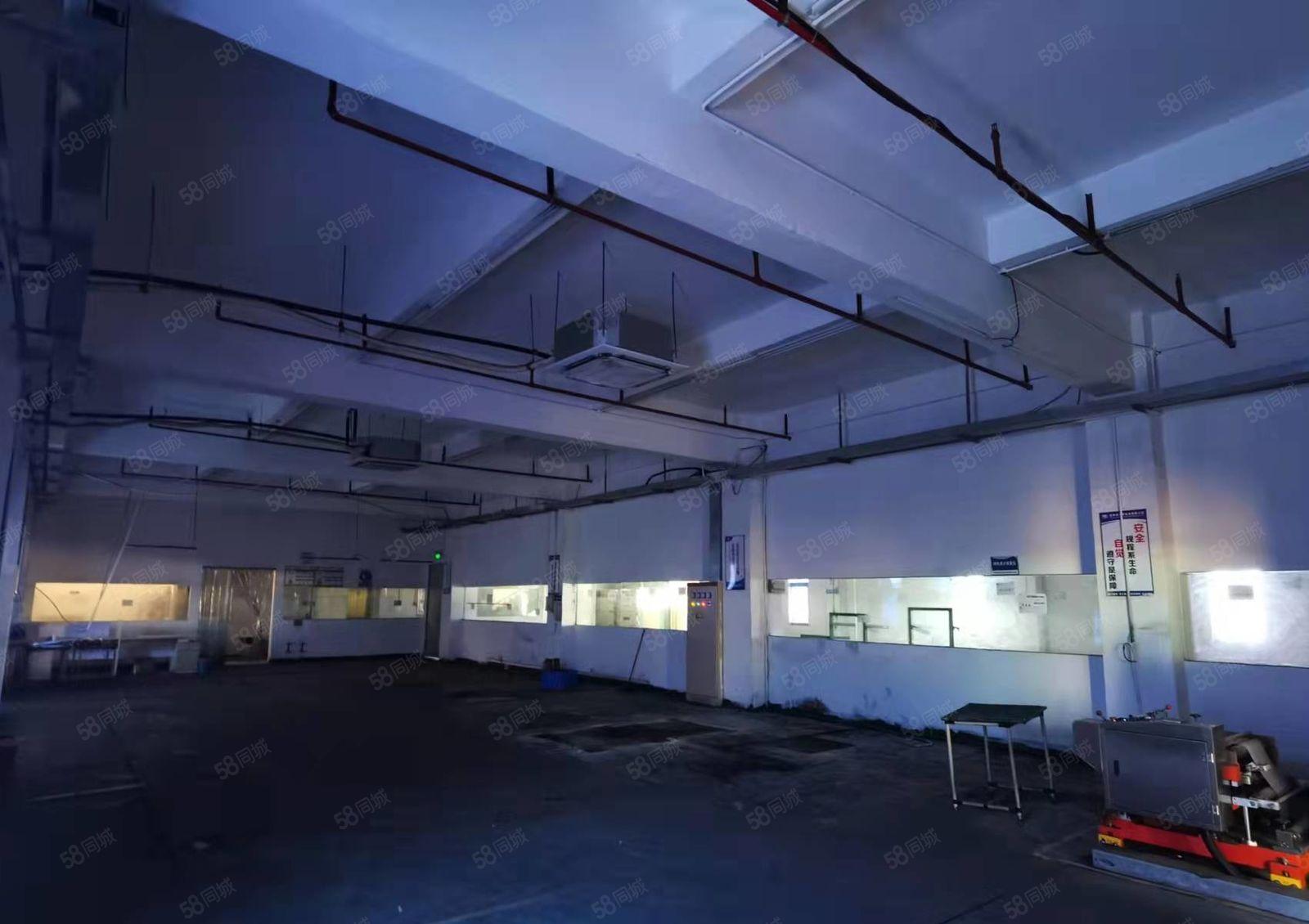 水口大湖溪原房东一楼600平方标准厂房出租 租金18