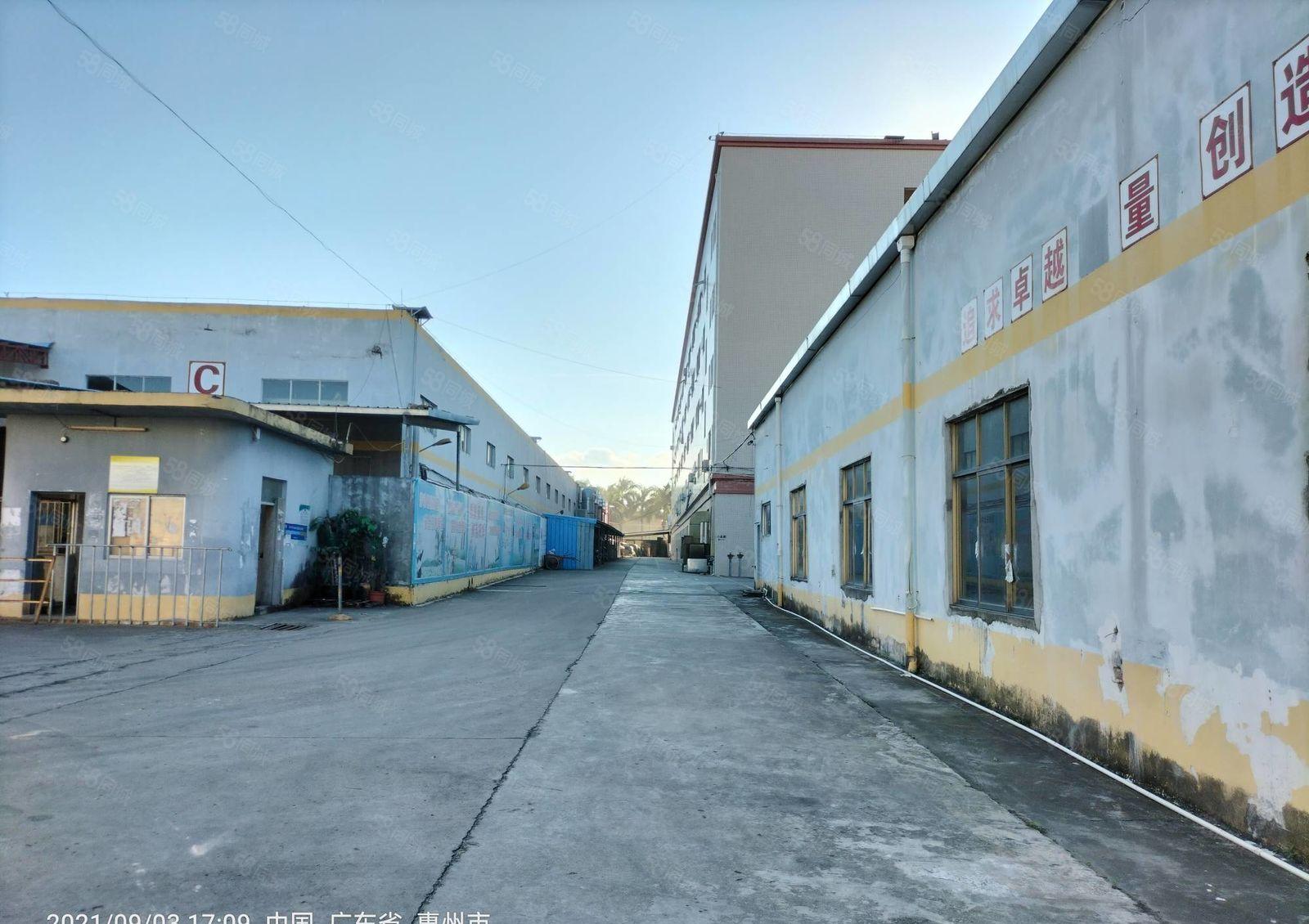 惠城标准钢结构厂房8千平方招租（低价招商）