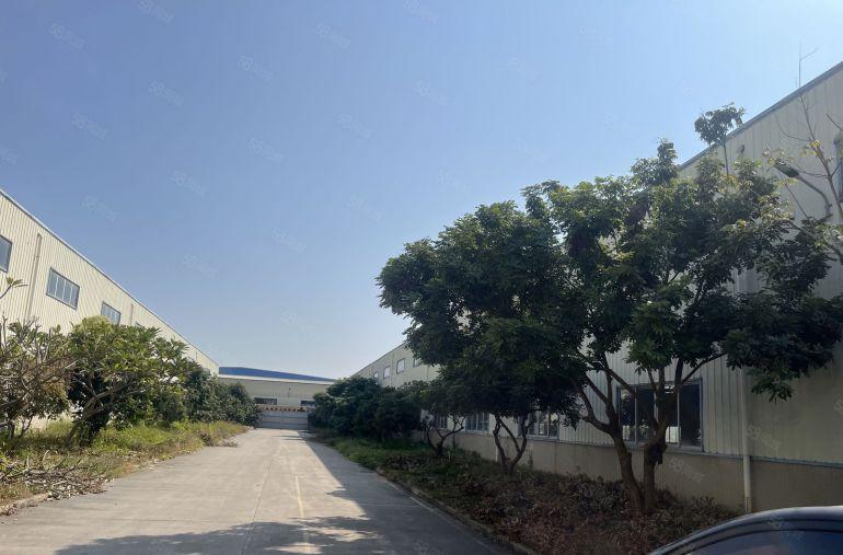 三栋全新钢构7500平方滴水8米，可保30年不漏雨，合同期长