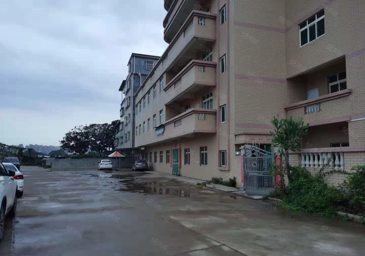 独栋带电梯三层1750平方招租 可做物流 电子行业